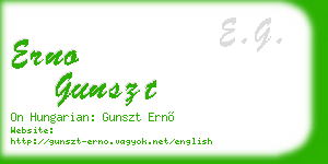 erno gunszt business card