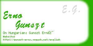 erno gunszt business card